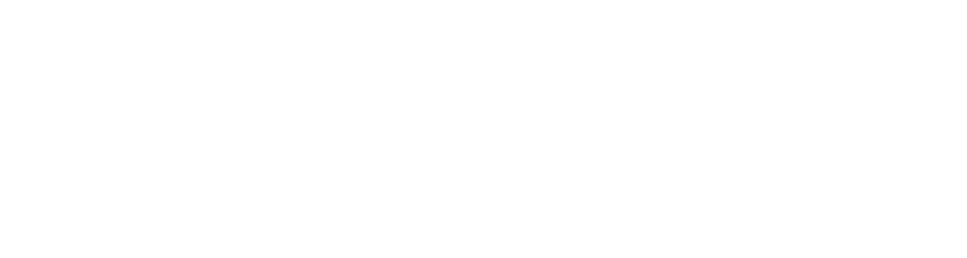 Logo Viemto